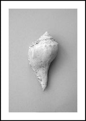 Shell | Plakatbrett