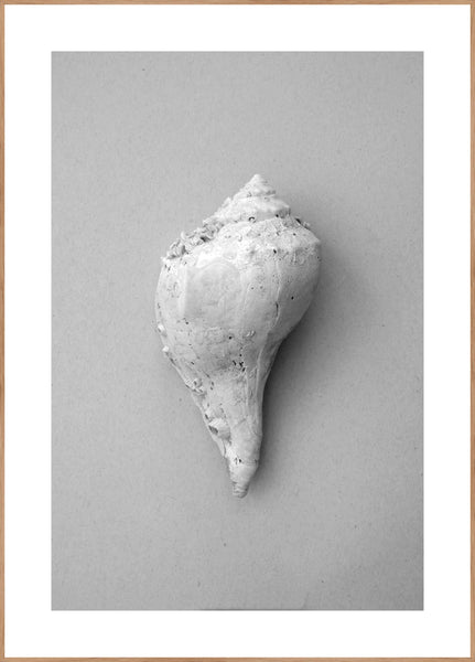 Shell | Plakatbrett