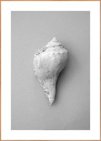 Shell | Plakatbrett