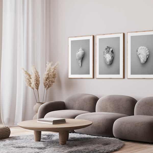 Shell | Plakatbrett