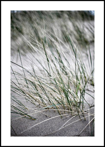 Wilde Strohhalme | Gerahmtes Druck