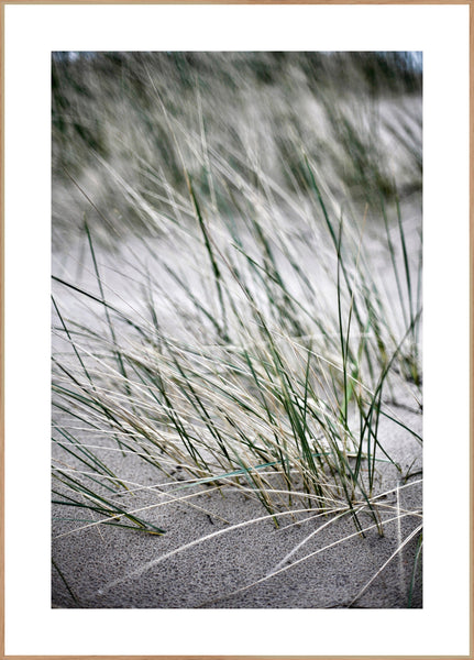 Wilde Strohhalme | Gerahmtes Druck